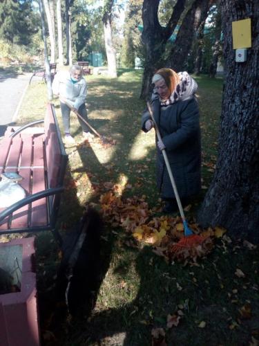 Золотая осень 