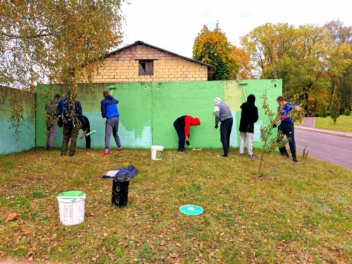 Помощь волонтеров ЦПК МВД Республики Беларусь в благоустройстве территории